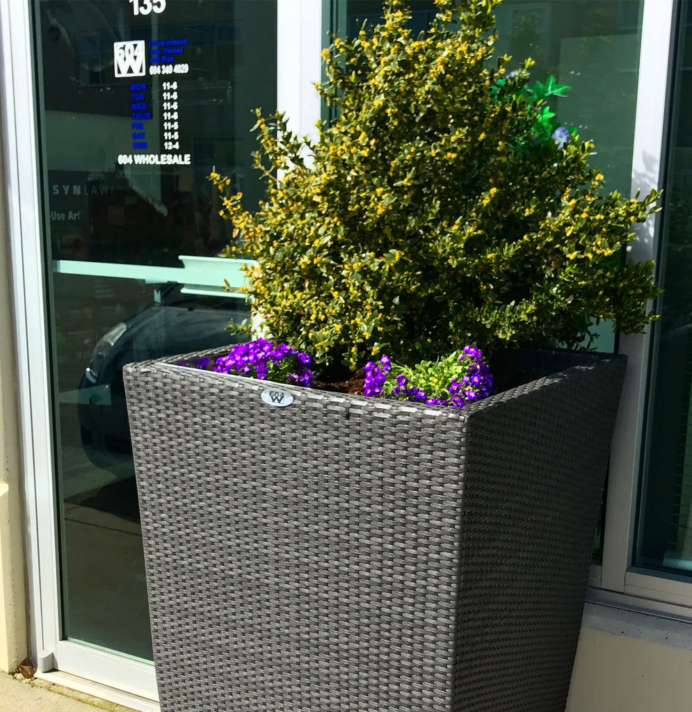 The Planters - Customize!
